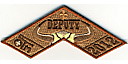 Deputy 2012